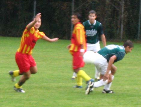 bad schallerbach