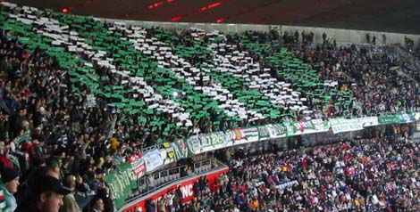 rapid wien