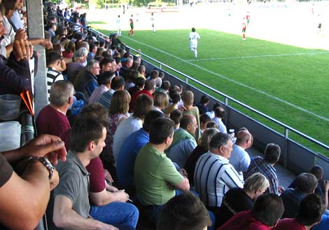 fc wels blau weiss linz fussball regionalliga österreich 