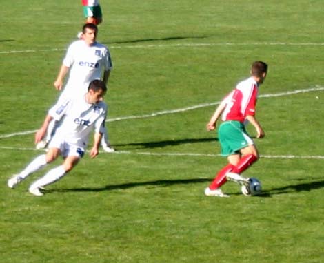 fc wels blau weiss linz fussball regionalliga österreich 