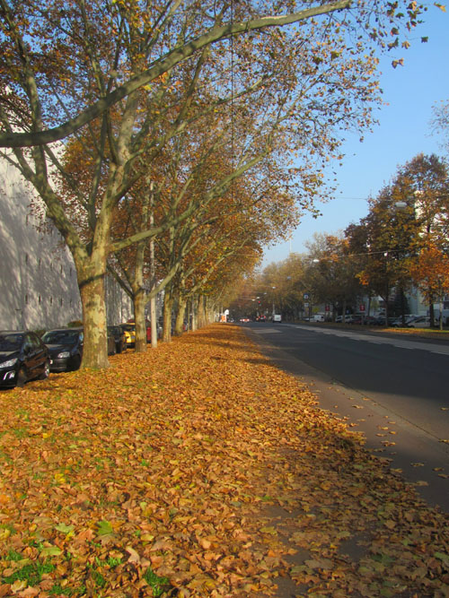 Gruberstrasse Linz